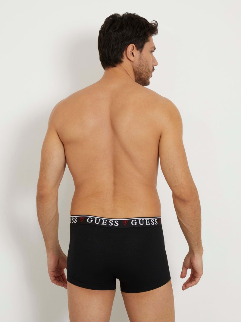 boxer-guess-brian-hero