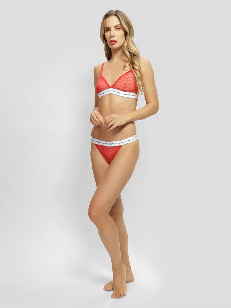 conjunto-guess-lisa-sujetador-y-panty