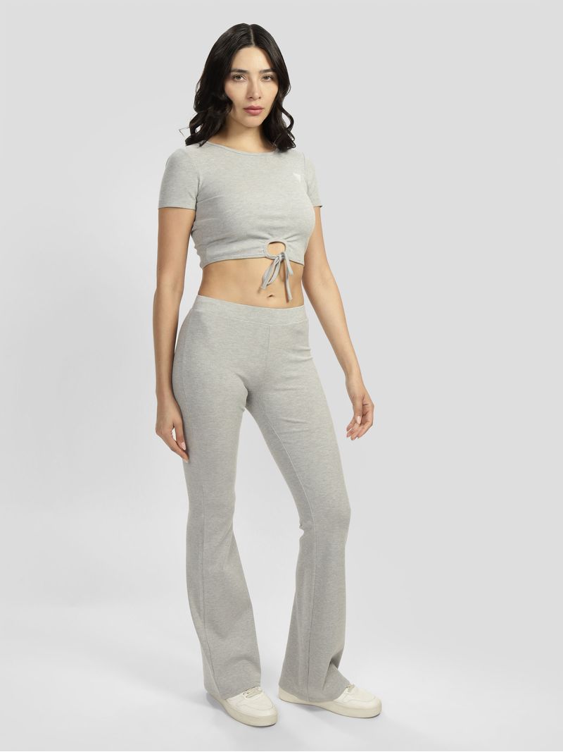 Top-Guess-Active-Crocus