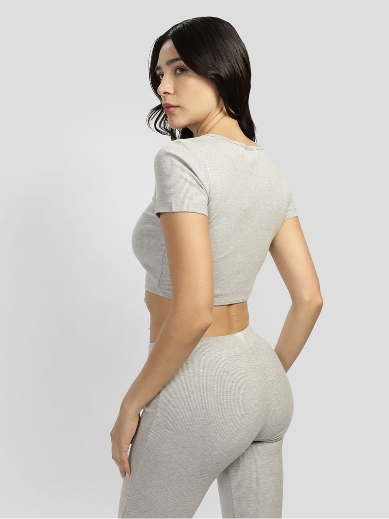 Top-Guess-Active-Crocus